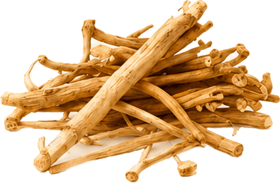 Dandelion Root