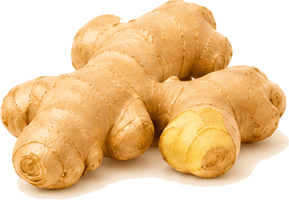Ginger