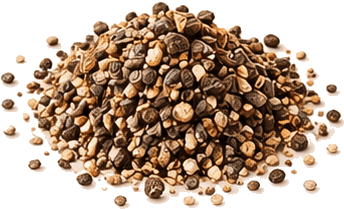 Black Pepper